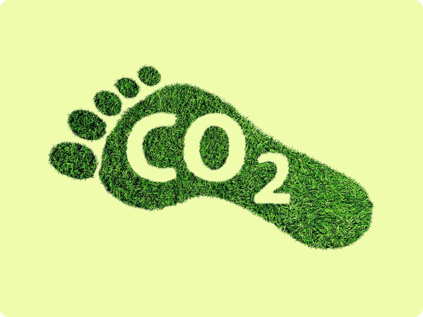 amprenta-carbon