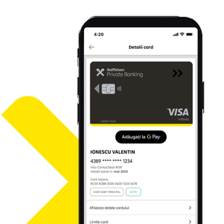 Visa Credit Infinite Digital Wallet 2