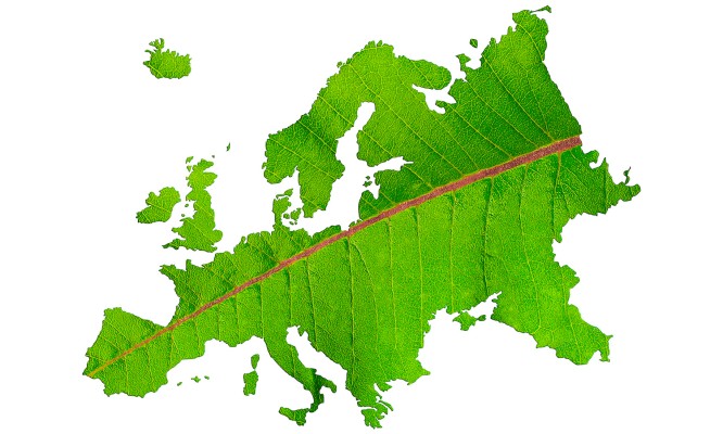 Map of Europe in green leaf texture on a white isolated background. Ecology, climate concept, 3d illustration.